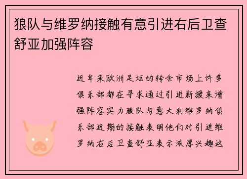 狼队与维罗纳接触有意引进右后卫查舒亚加强阵容